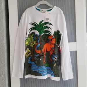 Boys Dinosaurs Long Sleeved T Shirt